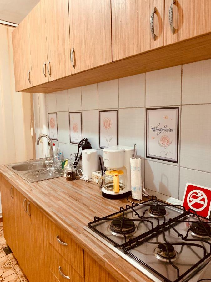Ultracentral Apartment With All You Need: Wifi, Tv, Ac, Washer, Coffe Temešvár Exteriér fotografie