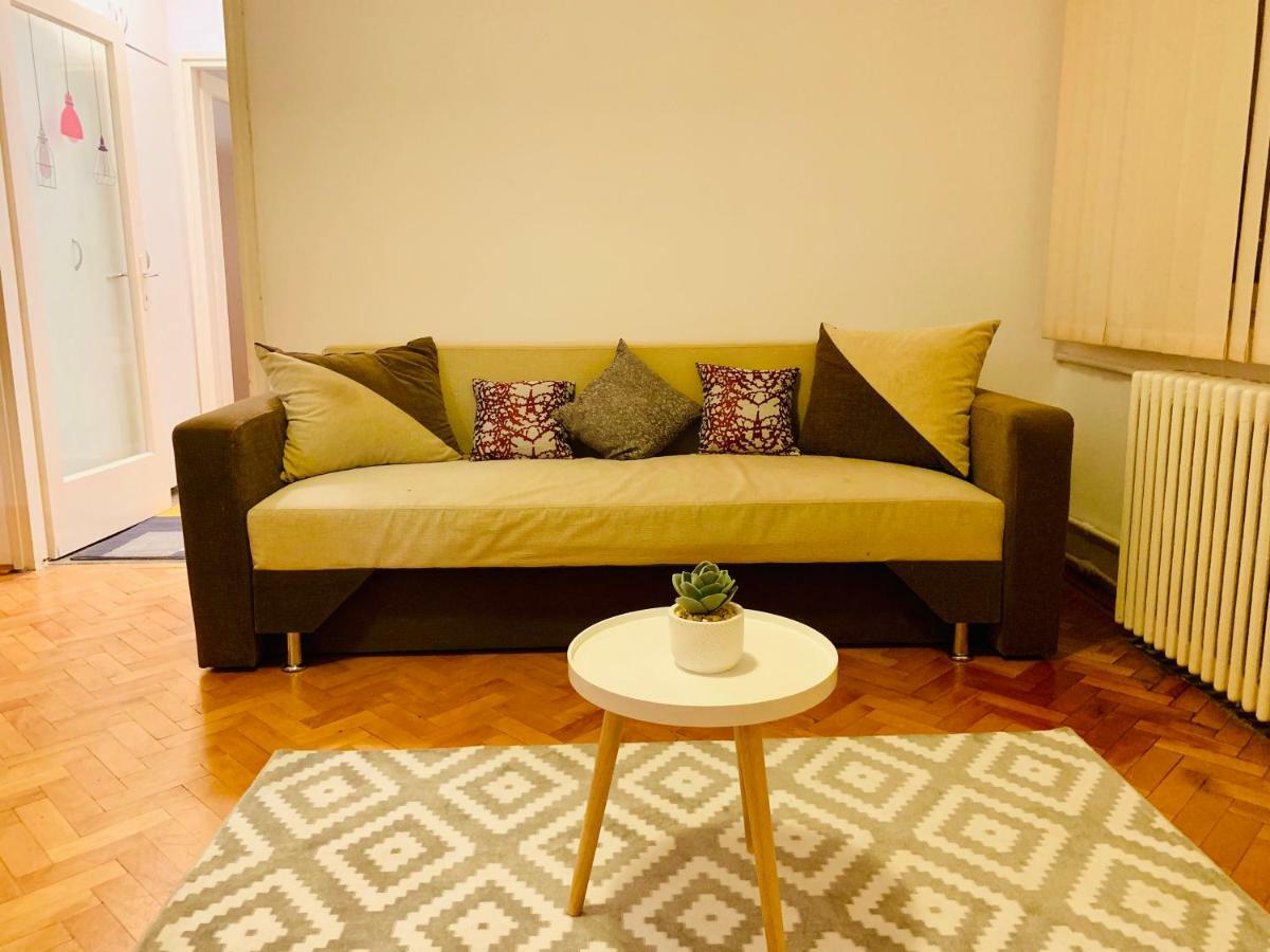 Ultracentral Apartment With All You Need: Wifi, Tv, Ac, Washer, Coffe Temešvár Exteriér fotografie