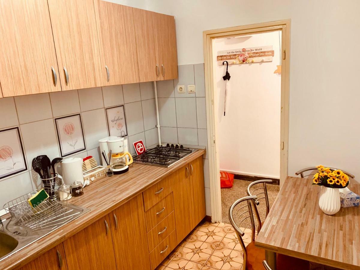 Ultracentral Apartment With All You Need: Wifi, Tv, Ac, Washer, Coffe Temešvár Exteriér fotografie